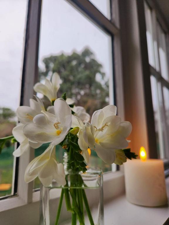 Petite on Regent - Resim 14