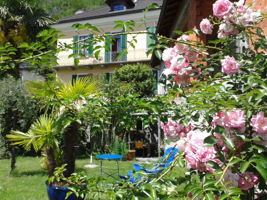 un jardín con una mesa azul y flores rosas en Casa Gialla B&B, en Tegna