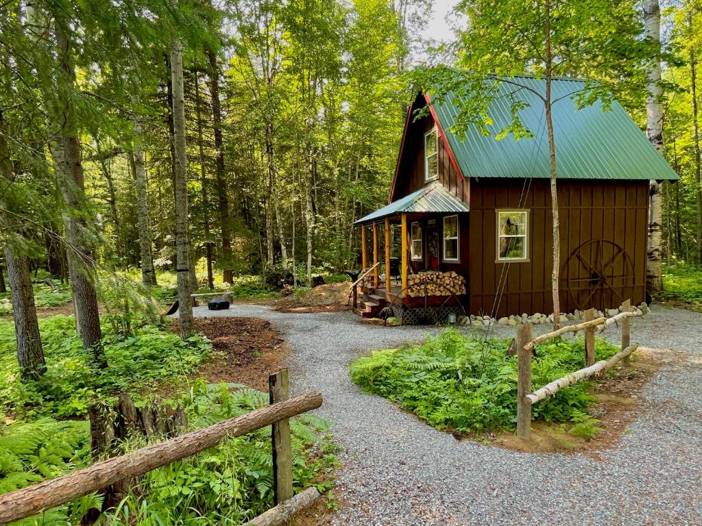 a small cabin with a green roof in the woods at Kataluma Inn, Sandpoint, Idaho - entire cozy cabin in Sandpoint