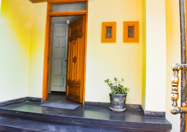 a house with a potted plant in front of a door at Las Mariposas Hospedaje in Tacna