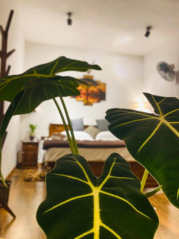 The kingdom of ella - 9