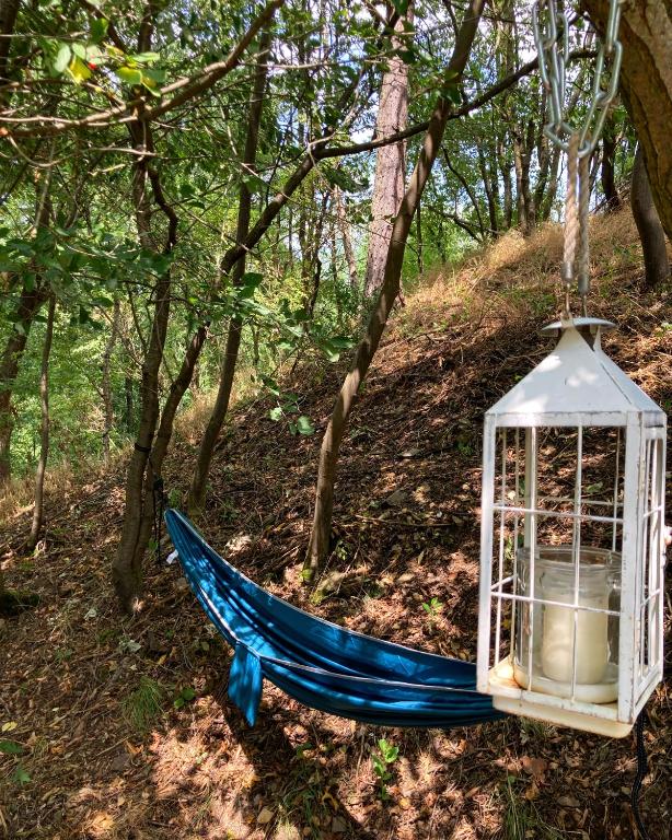 Kebun di luar Karavan Na Louce