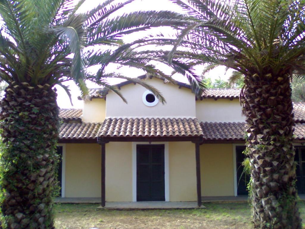 two palm trees in front of a house at Villa Rododafni in Roda