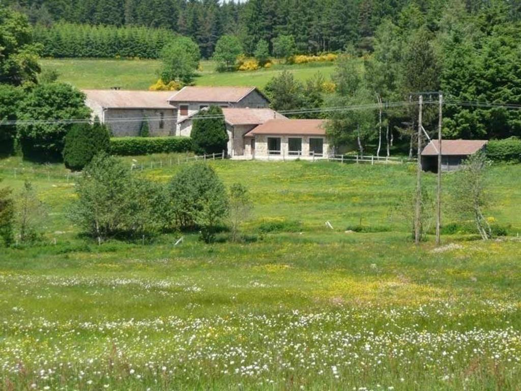 Saint-Romain-Lachalm – Photos 3