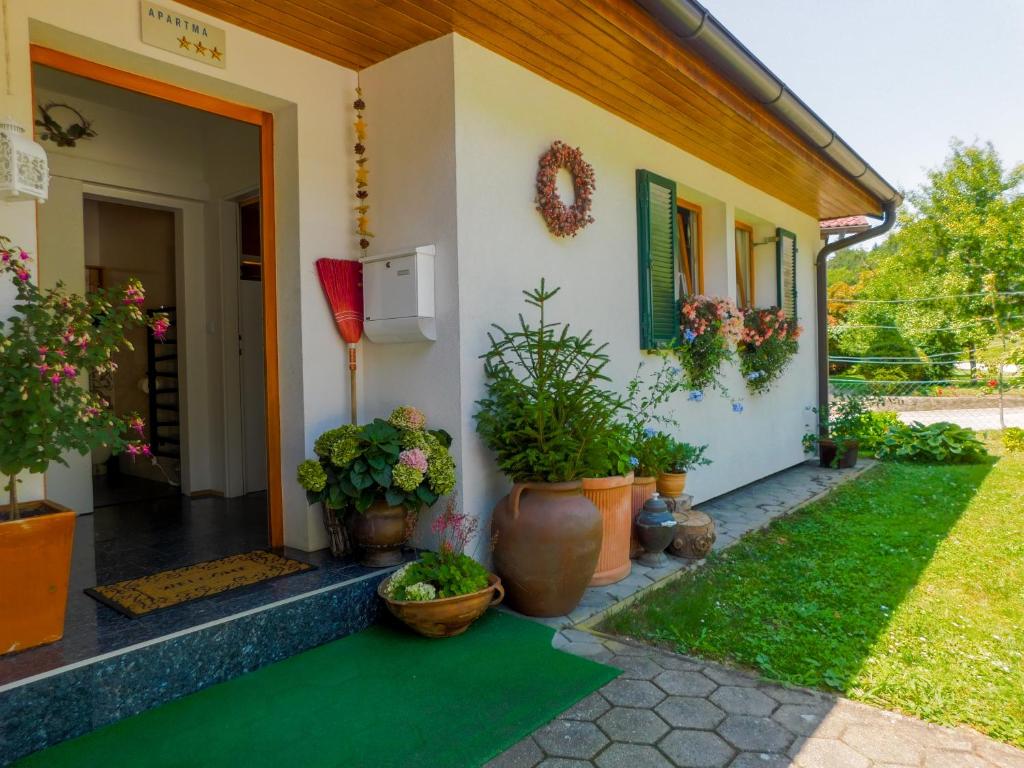 a house with potted plants on the side of it at Vali's Paradise in Ptuj