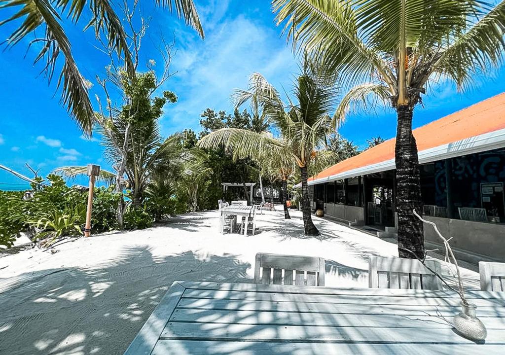 Fotografie z fotogalerie ubytování Tropical Tree v destinaci Fehendhoo