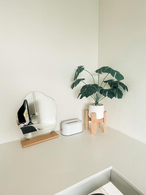 Shapel Hostel and Cafe - 5