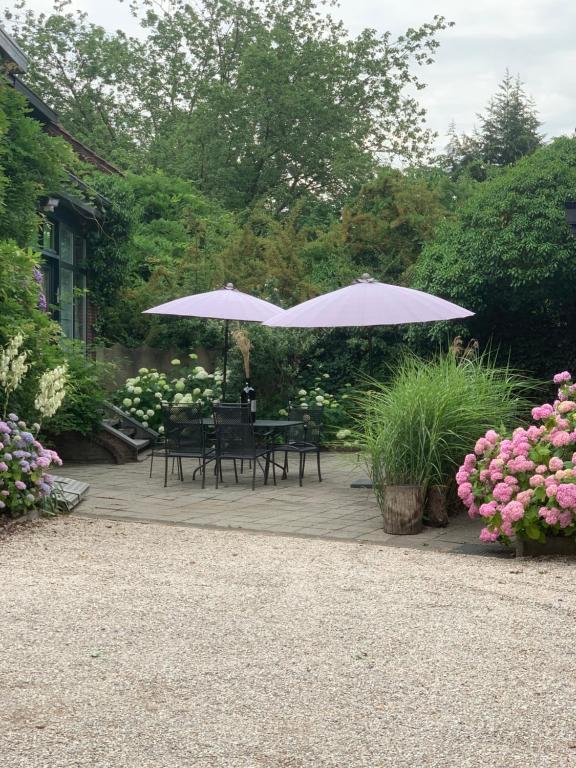 Zahrada ubytování Vakantiewoning Guesthouse MOMO