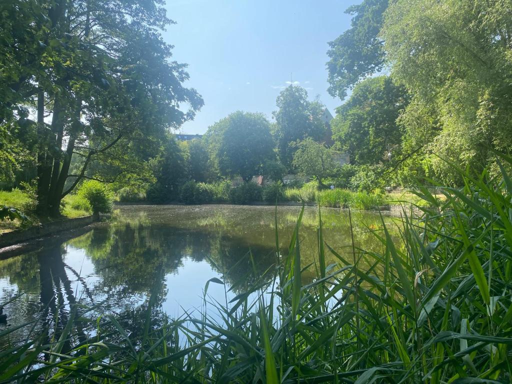 un estanque en medio de un parque con árboles en Lake Side Park/Historic/BER/THF en Berlín