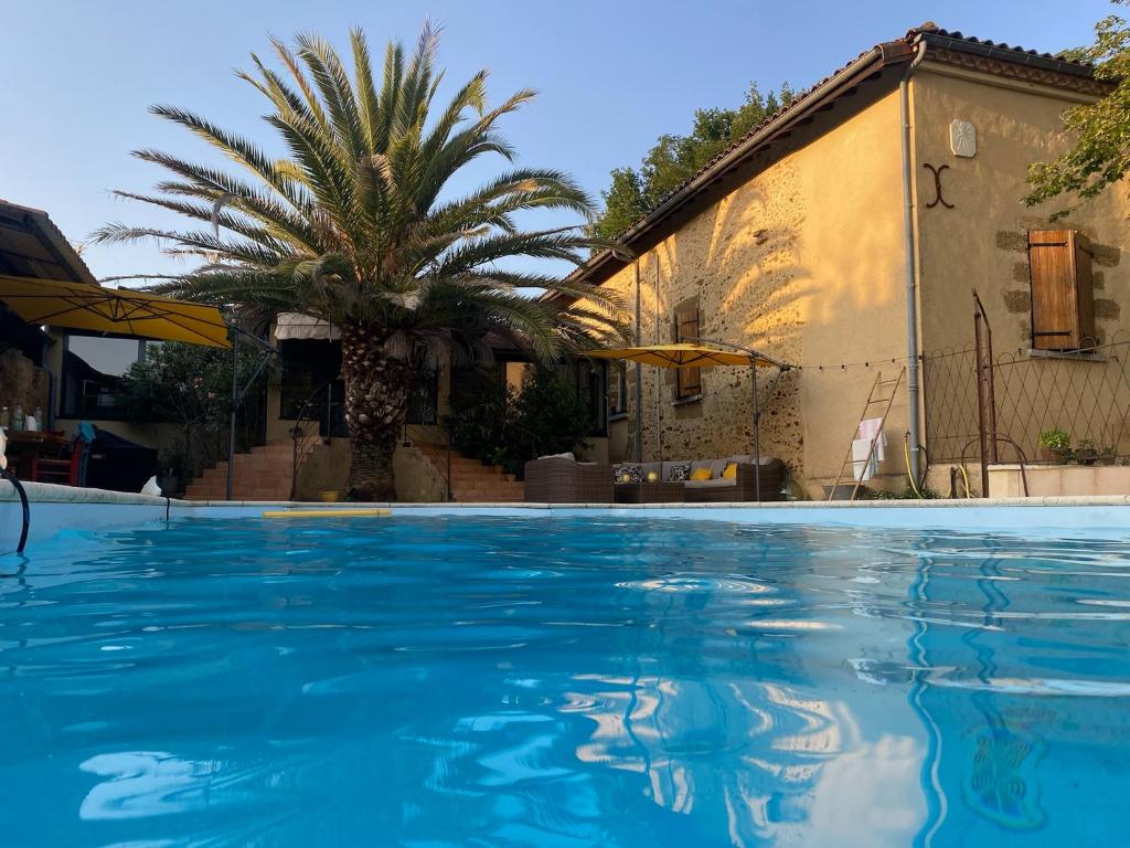 uma piscina em frente a uma casa com uma palmeira em Maison Lacourrège em Urgosse