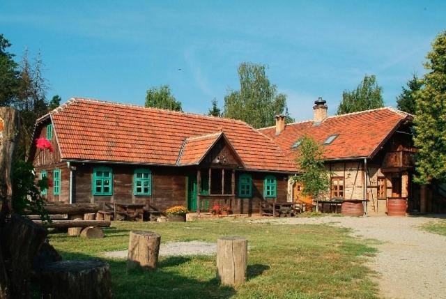 une grande maison en bois avec un toit rouge dans l'établissement Pension Kezele, à Graberje Ivanićko