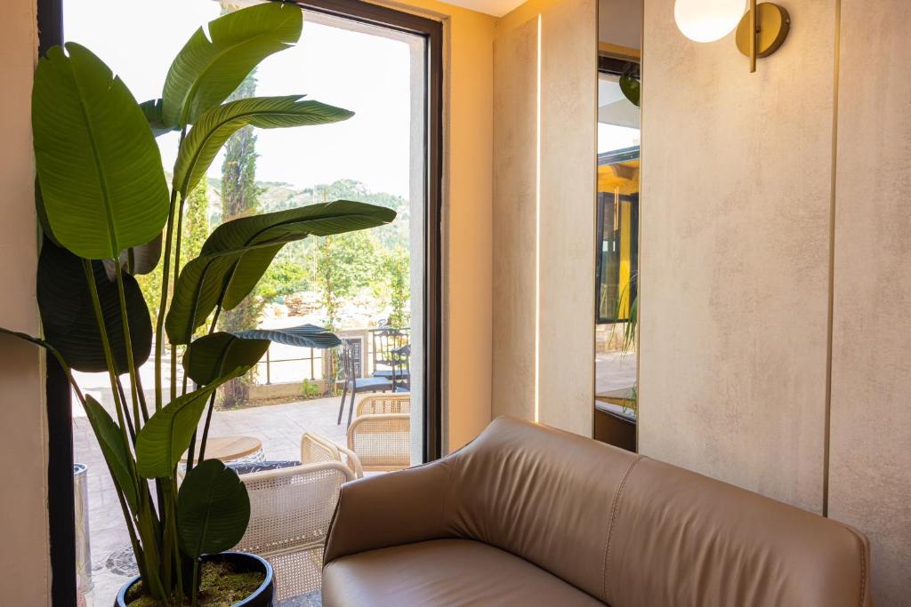 a living room with a leather couch and a plant at PATIO MARE in Dhërmi