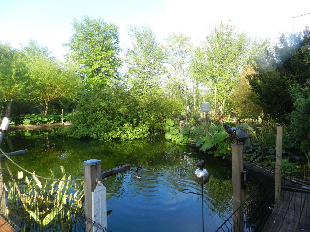 a pond with two ducks swimming in it at chambres d'hôtes naturistes de la moque souris in Saint-Pierre-de-Mailloc