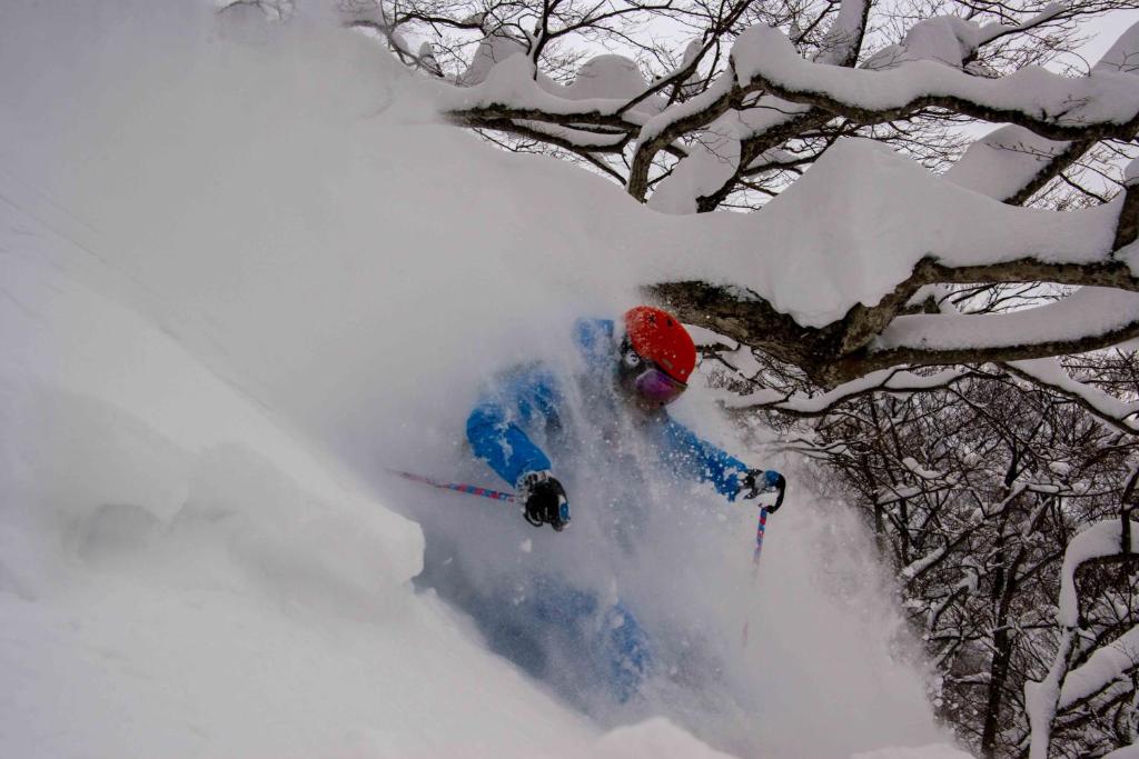 Morino Lodge - Myoko v zimě