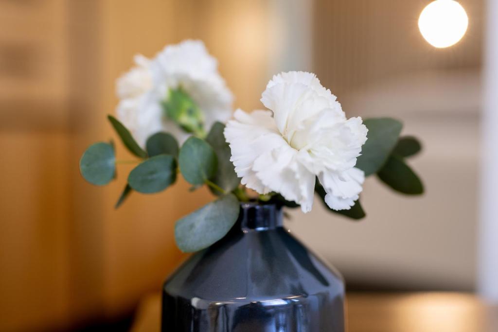 Fotografie z fotogalerie ubytování Hotel Südblick v destinaci Norderney
