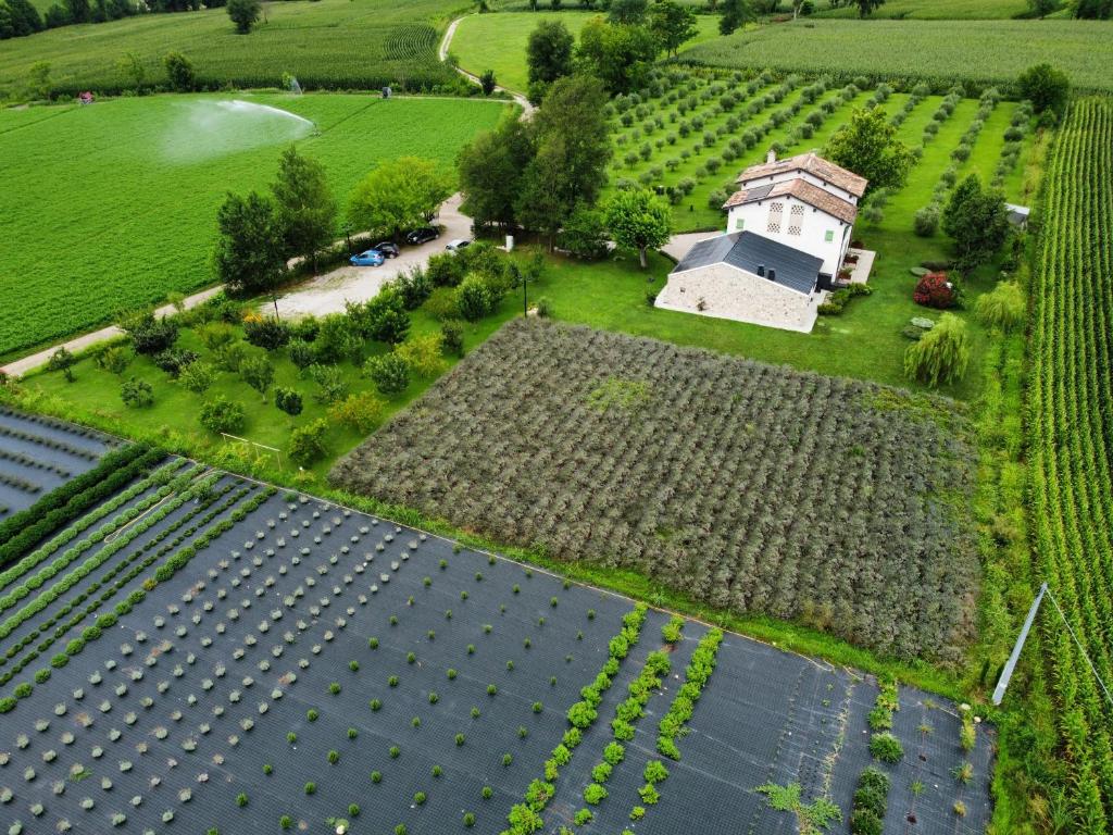 an aerial view of a farm with a building and crops at Agriturismo Redó in Ponti Sul Mincio