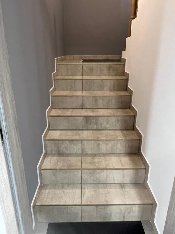 Przytulisko na Mazurach - Sous-sol