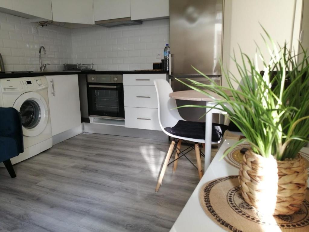 una cucina con lavatrice e tavolo con piante di Cantinho da Karine a Maia