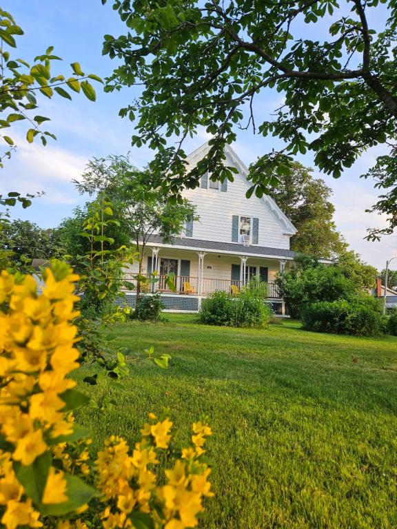 Biały dom z żółtymi kwiatami na dziedzińcu w obiekcie Sunflower Guest Suites w mieście Summerside