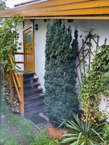 une maison avec une porte et une bande de plantes dans l'établissement Ferienwohnung „Am Bankzeitweg“, à Saalfeld