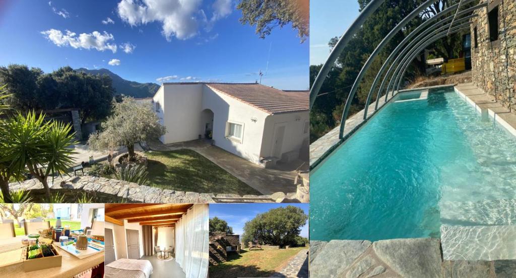 Barbaggio的住宿－Chambres d’hôtes A Casa Di Marigaby，一张照片和一座游泳池和一座房子相拼合