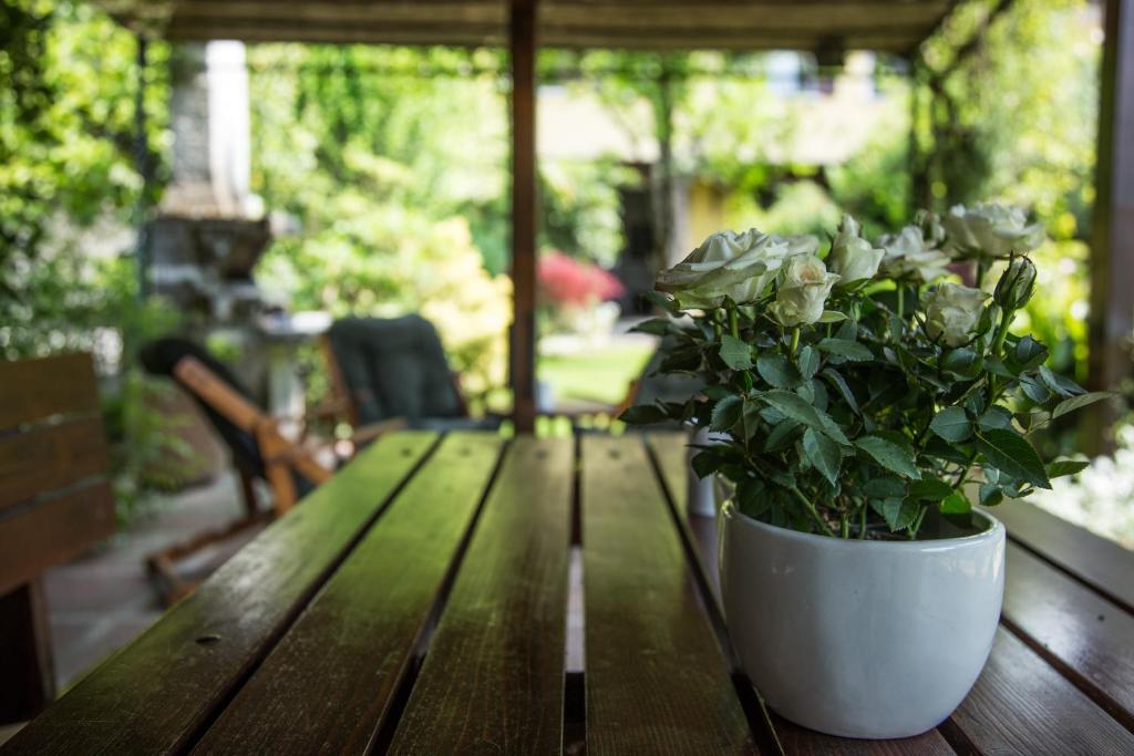 Zahrada ubytování B&B Arco Di Pietra