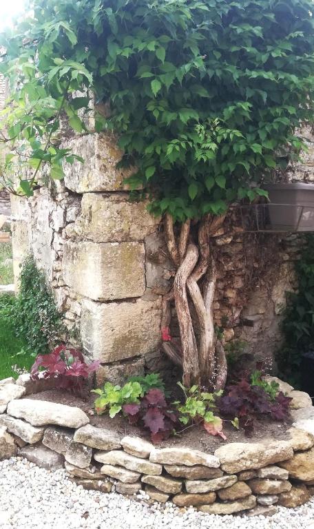 Zahrada ubytování Le Clos de l'Aiguillon