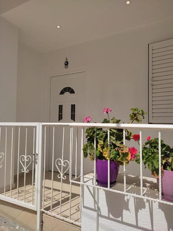 V Apartment - Imazhi 5