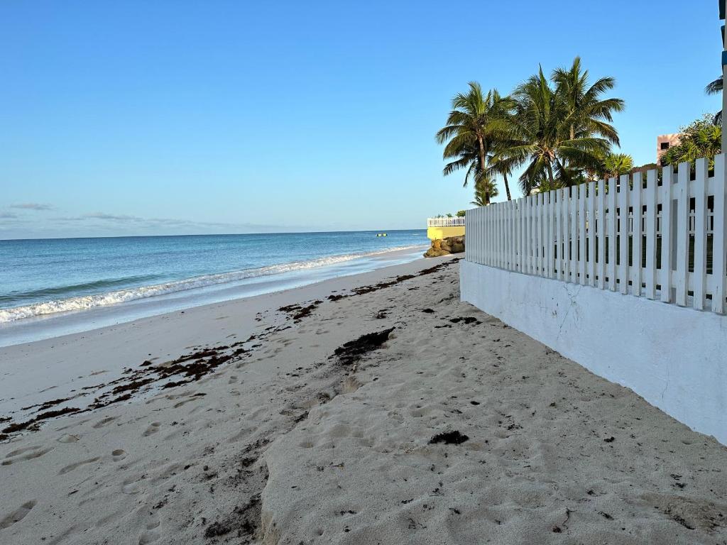 una playa con una valla, palmeras y el océano en Ultimate Xscape, en Christ Church