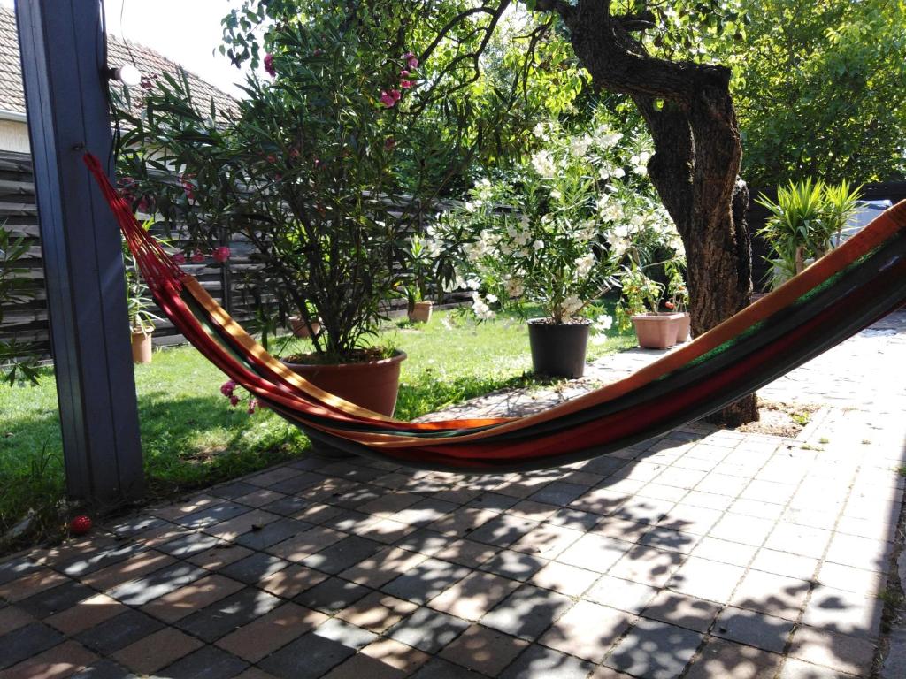 una hamaca colgando de un árbol en un patio en Kékmadár Vendégház Alsómégy, 