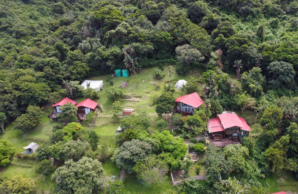 an aerial view of a house in the middle of a forest at Amapondo Backpackers Lodge in Port St Johns