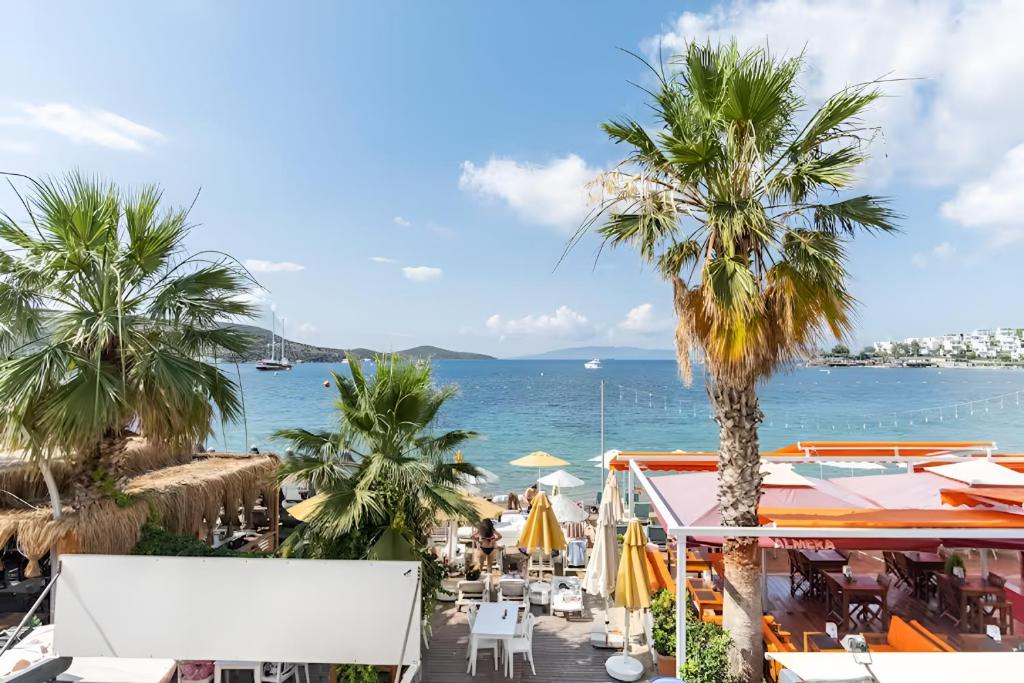 a view of a beach with palm trees and the ocean at Seafront Rooms Bitez in Bodrum City