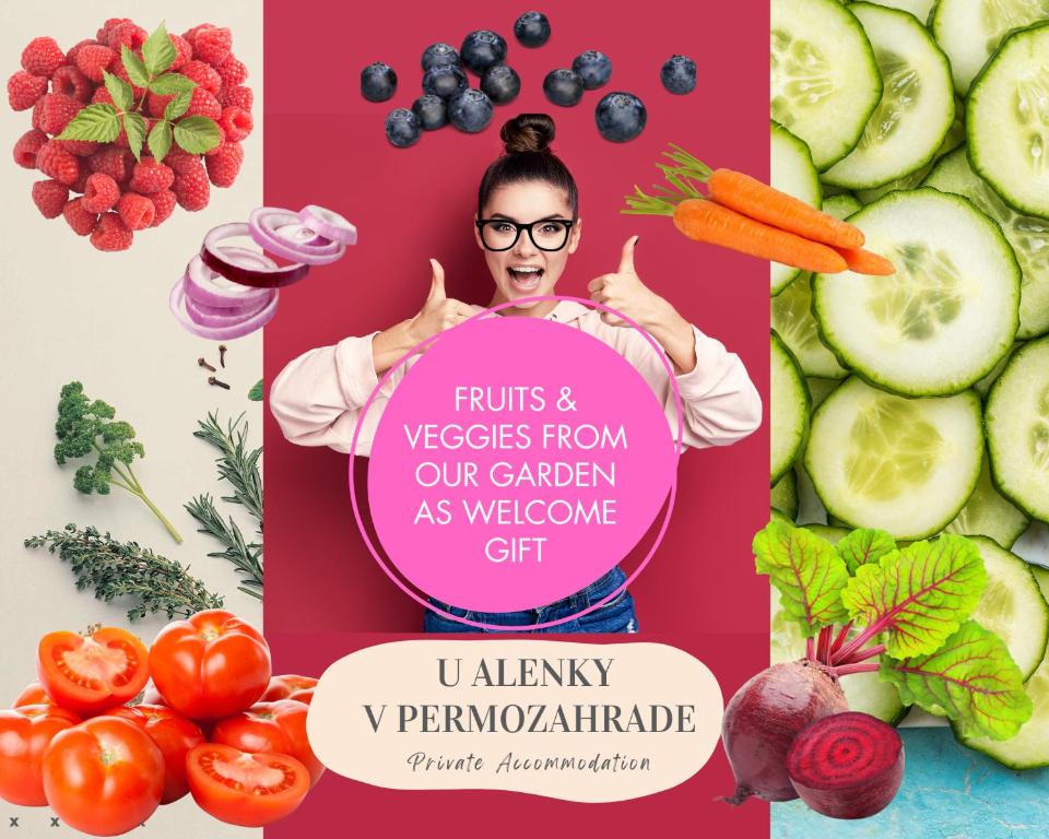 U Alenky na Záhrade - Housity