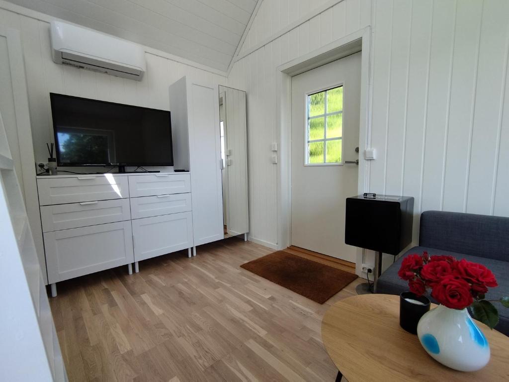 uma sala de estar com um sofá, uma televisão e uma mesa em Guesthouse with terrace em Arendal