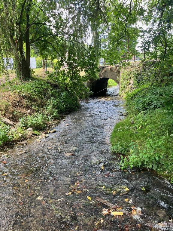 a small bridge over a river in a park at Charmante petite maison à Olne in Olne