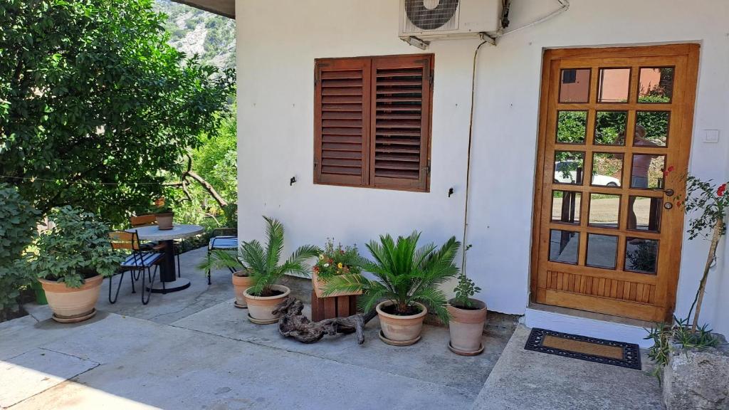 uma casa com vasos de plantas em frente a uma porta em Armonia em Kotor
