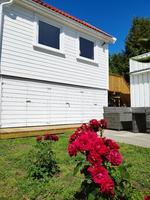 Zahrada ubytování Guesthouse with terrace