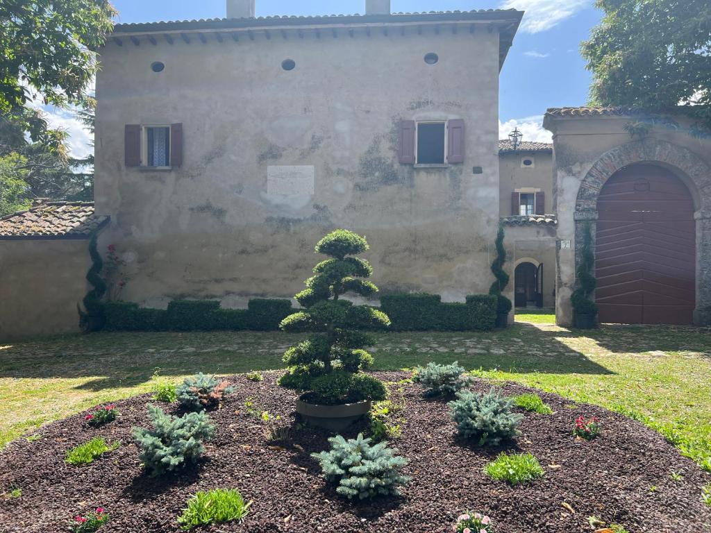 un pequeño árbol en un patio frente a un edificio en Casa Barattini, en Zocchetta