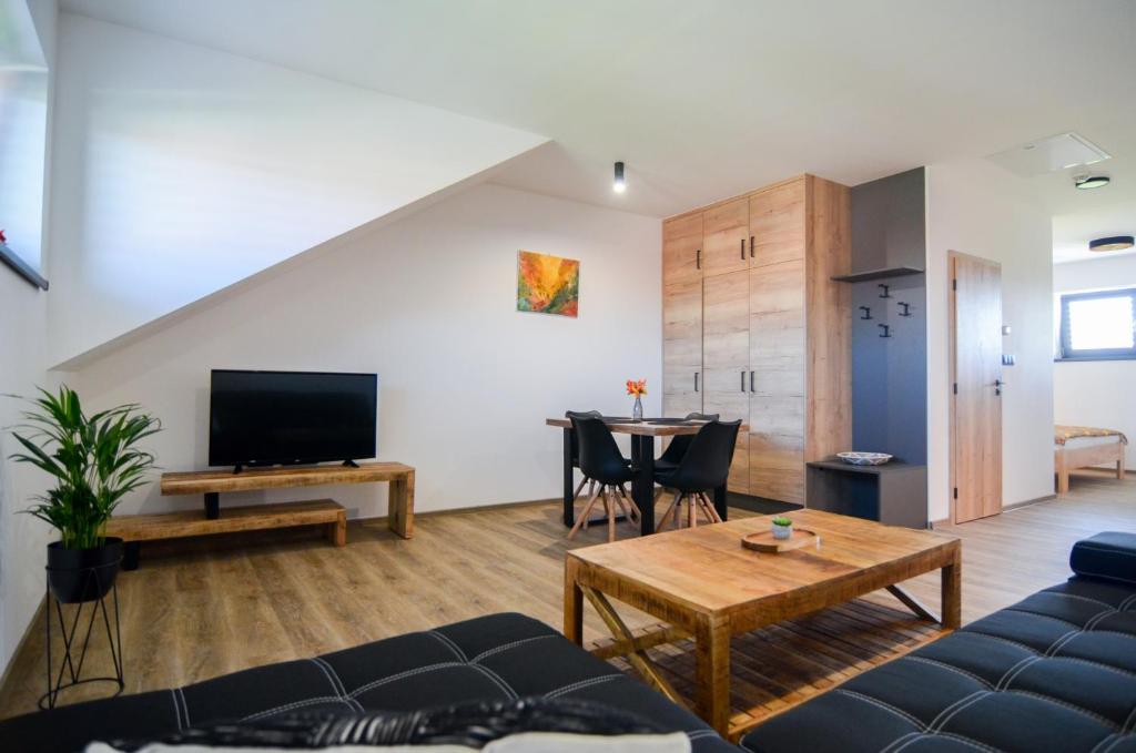 TV a/nebo společenská místnost v ubytování Apartmány Hrušky - wellness