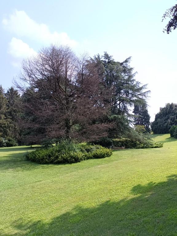 Zahrada ubytování Chez Queen B&B - Lake Como