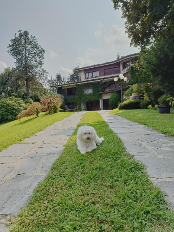 Zahrada ubytování Chez Queen B&B - Lake Como