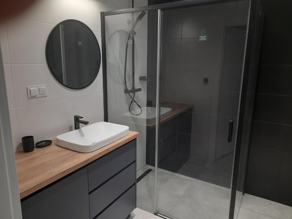 La salle de bains est pourvue d'une douche, d'un lavabo et d'un miroir. dans l'établissement APARTAMENT OLIWIER, à Kłodzko