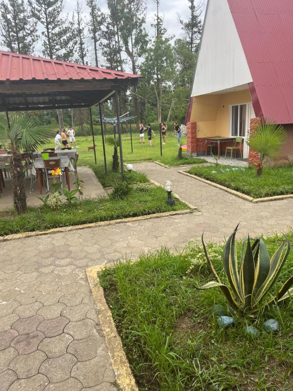 Zahrada ubytování Ureki cottage Guria Street between 24- 26 Georgia Olympia