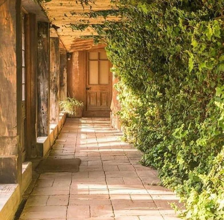 Zahrada ubytování Posada Portal del Sol