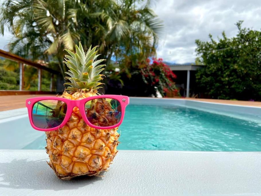 a pineapple wearing pink sunglasses next to a swimming pool at Cocooning Tropic Studio avec Jacuzzi privatif in Saint-Louis