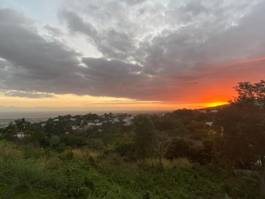 a view of a sunset from a hill with trees at Cocooning Tropic Studio avec Jacuzzi privatif in Saint-Louis