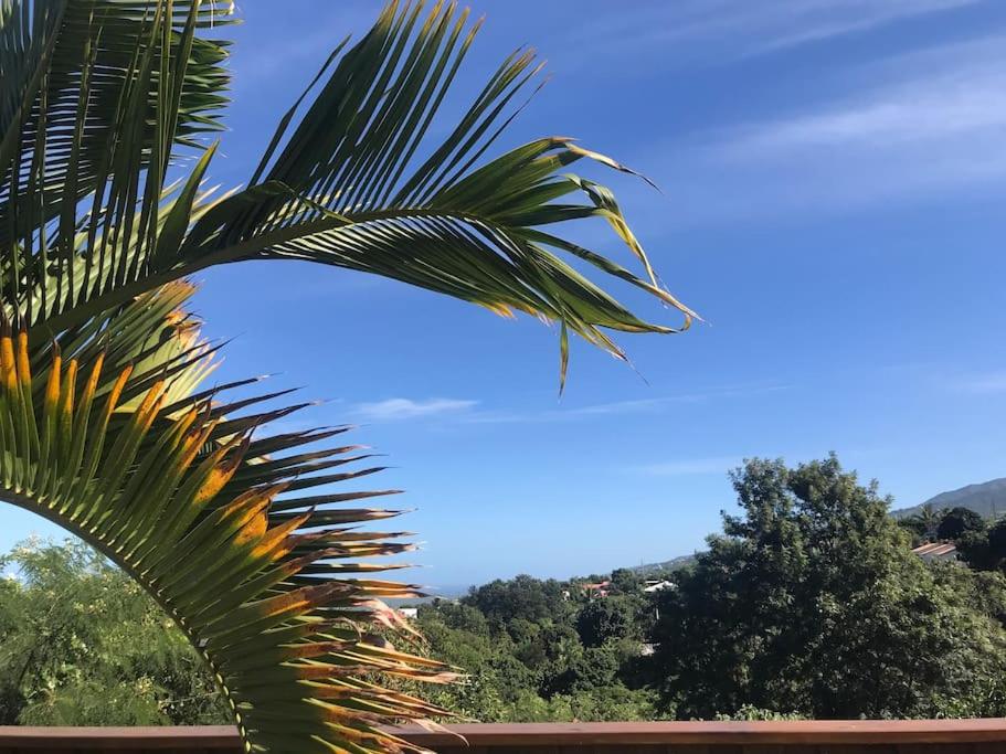 a palm tree with the sky in the background at Cocooning Tropic Studio avec Jacuzzi privatif in Saint-Louis