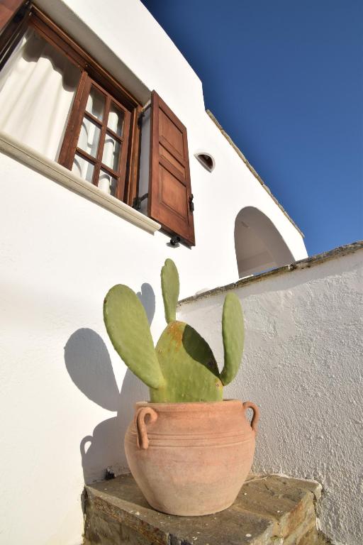 a potted plant sitting on a ledge next to a building at Sunset Pounda in Pounda