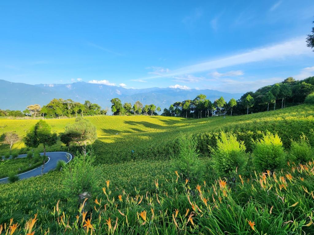 露予莊園民宿 茶莊評價、特色體驗、房價資訊、訂房連結 – 溫馨茶莊與赤科山美景 - 照片 3