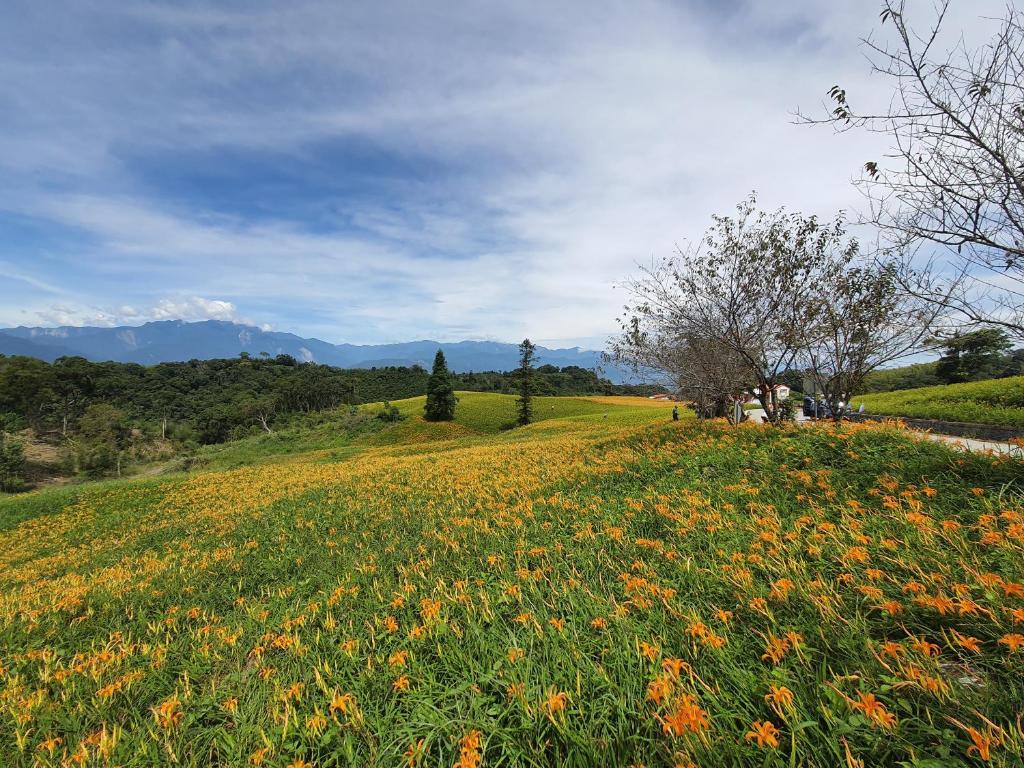 露予莊園民宿 茶莊評價、特色體驗、房價資訊、訂房連結 – 溫馨茶莊與赤科山美景 - 照片 7